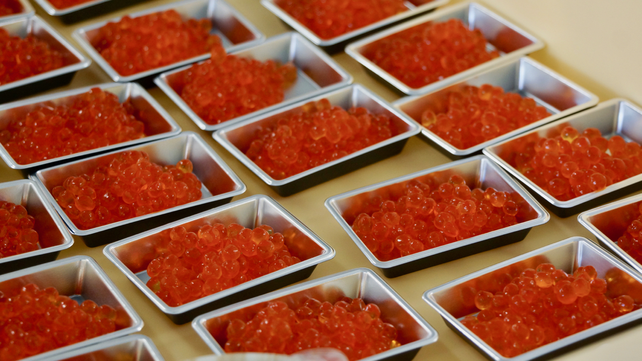 産地発 おいしいいくら醤油漬け の作り方 枡川鮭漁業生産組合